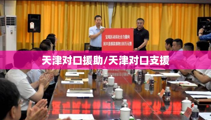 天津对口援助/天津对口支援