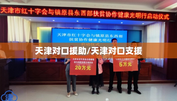 天津对口援助/天津对口支援