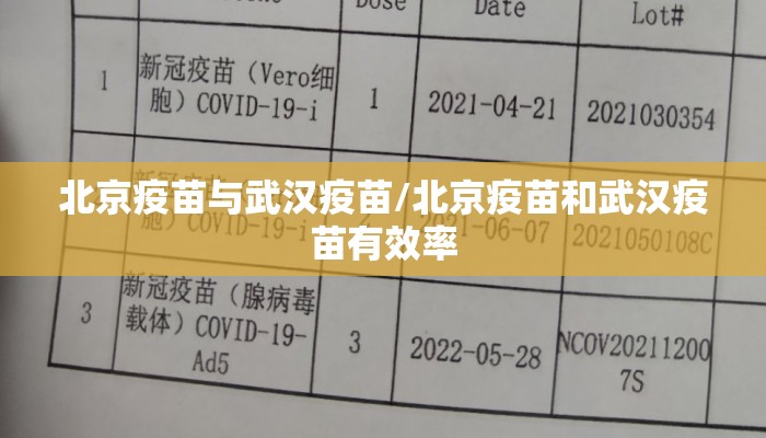 北京疫苗与武汉疫苗/北京疫苗和武汉疫苗有效率