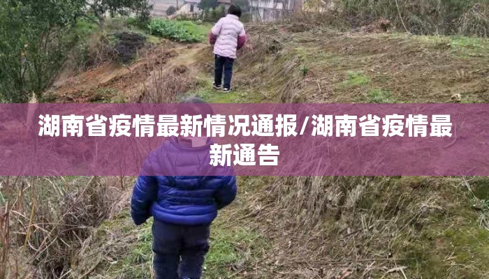 湖南省疫情最新情况通报/湖南省疫情最新通告