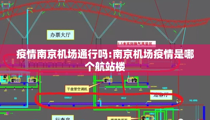 疫情南京机场通行吗:南京机场疫情是哪个航站楼
