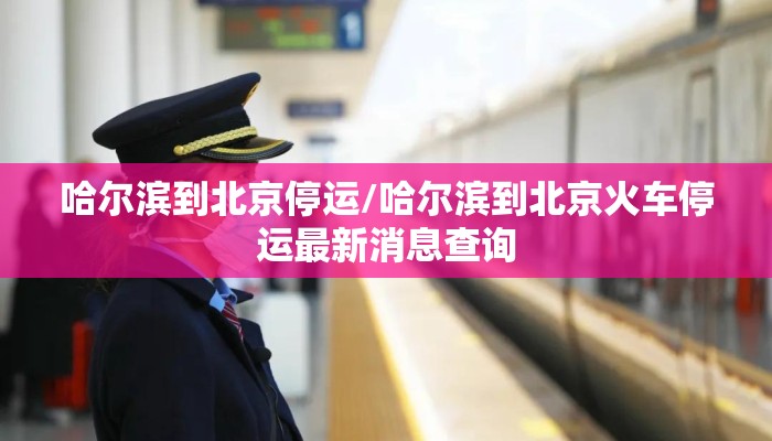 哈尔滨到北京停运/哈尔滨到北京火车停运最新消息查询