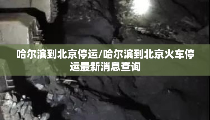 哈尔滨到北京停运/哈尔滨到北京火车停运最新消息查询