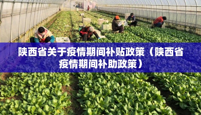 陕西省关于疫情期间补贴政策（陕西省疫情期间补助政策）