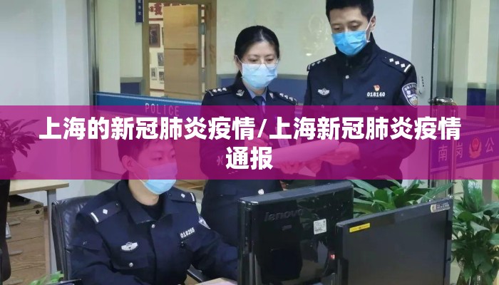 上海的新冠肺炎疫情/上海新冠肺炎疫情通报