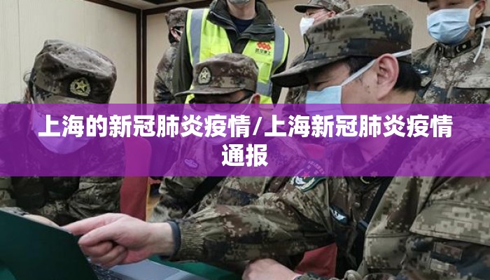 上海的新冠肺炎疫情/上海新冠肺炎疫情通报