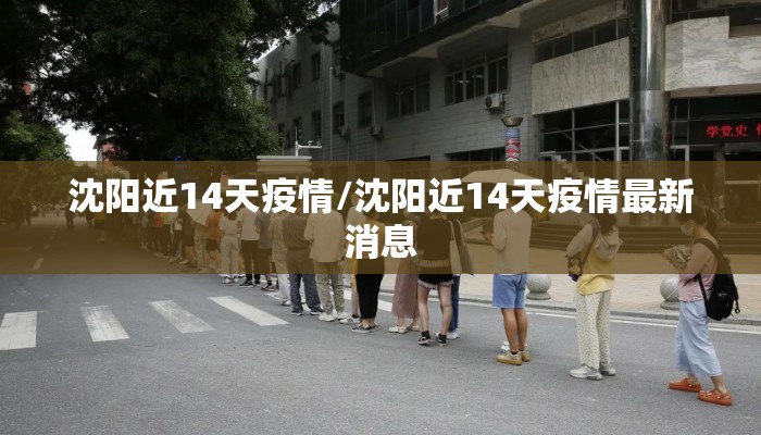 沈阳近14天疫情/沈阳近14天疫情最新消息