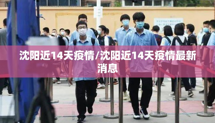 沈阳近14天疫情/沈阳近14天疫情最新消息