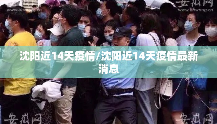 沈阳近14天疫情/沈阳近14天疫情最新消息