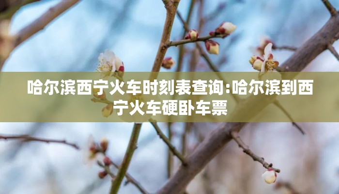 哈尔滨西宁火车时刻表查询:哈尔滨到西宁火车硬卧车票