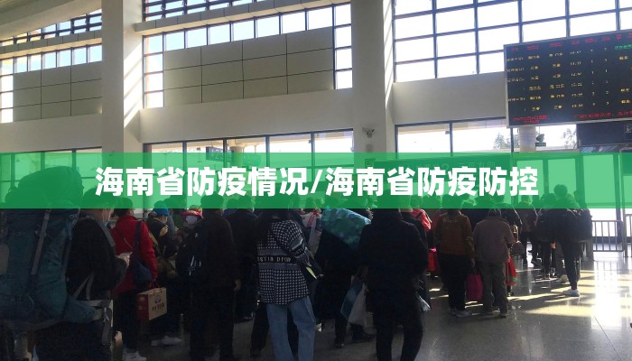 海南省防疫情况/海南省防疫防控