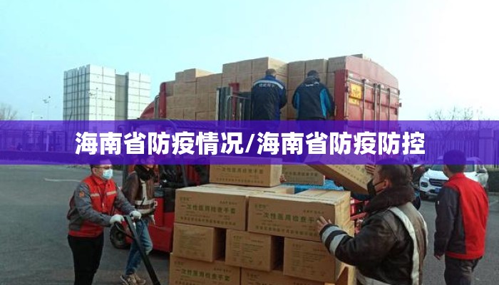 海南省防疫情况/海南省防疫防控