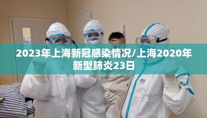 2023年上海新冠感染情况/上海2020年新型肺炎23日