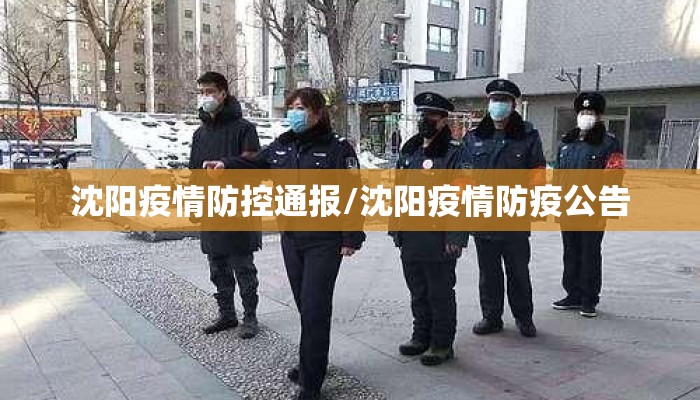 沈阳疫情防控通报/沈阳疫情防疫公告