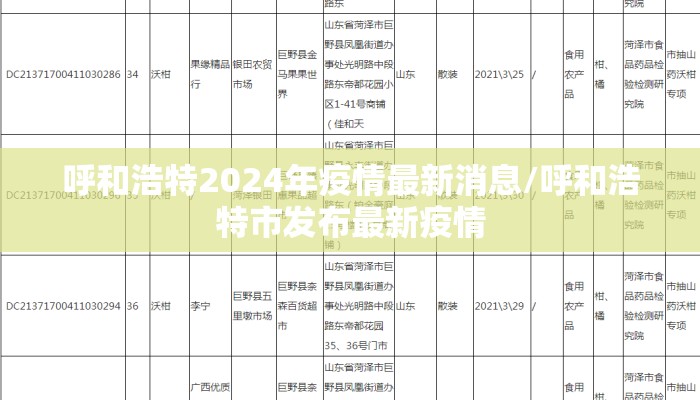呼和浩特2024年疫情最新消息/呼和浩特市发布最新疫情