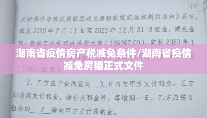 湖南省疫情房产税减免条件/湖南省疫情减免房租正式文件