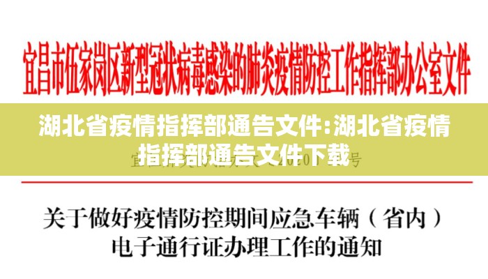 湖北省疫情指挥部通告文件:湖北省疫情指挥部通告文件下载