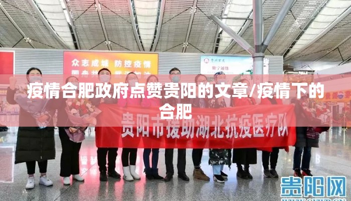 疫情合肥政府点赞贵阳的文章/疫情下的合肥