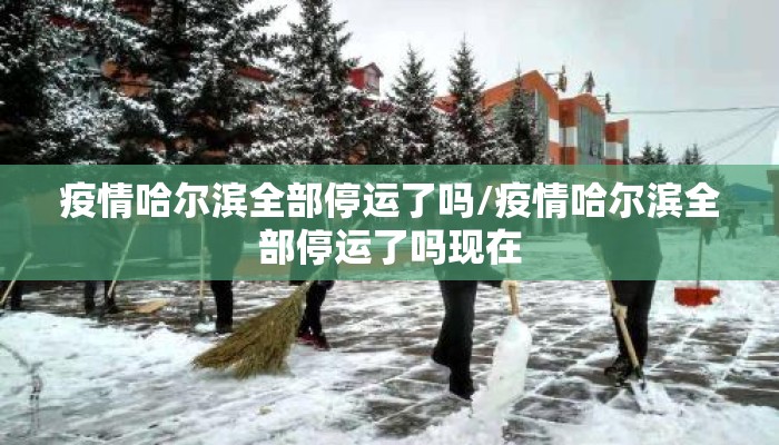 疫情哈尔滨全部停运了吗/疫情哈尔滨全部停运了吗现在