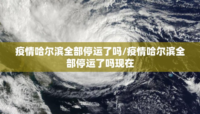 疫情哈尔滨全部停运了吗/疫情哈尔滨全部停运了吗现在
