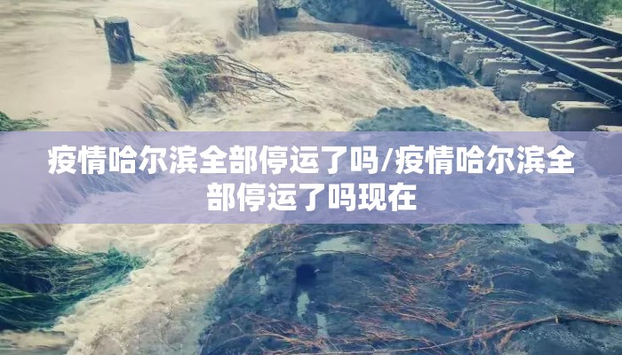 疫情哈尔滨全部停运了吗/疫情哈尔滨全部停运了吗现在