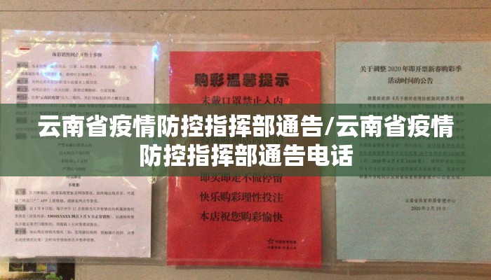 云南省疫情防控指挥部通告/云南省疫情防控指挥部通告电话