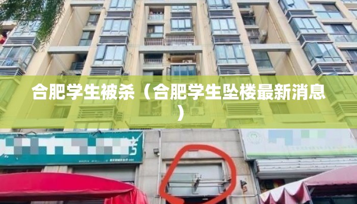 合肥学生被杀（合肥学生坠楼最新消息）