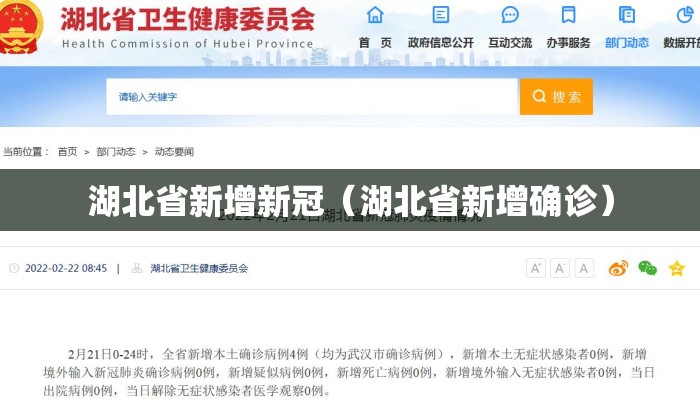 湖北省新增新冠（湖北省新增确诊）