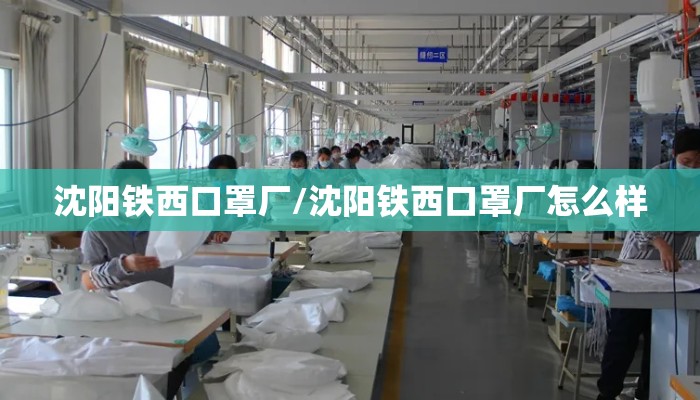 沈阳铁西口罩厂/沈阳铁西口罩厂怎么样