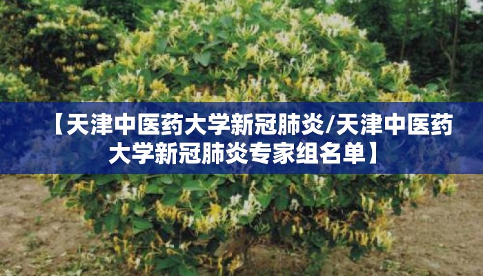 【天津中医药大学新冠肺炎/天津中医药大学新冠肺炎专家组名单】