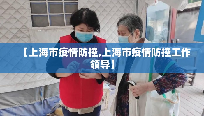 【上海市疫情防控,上海市疫情防控工作领导】
