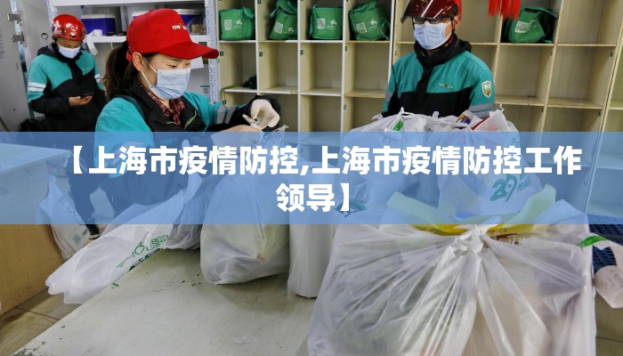 【上海市疫情防控,上海市疫情防控工作领导】