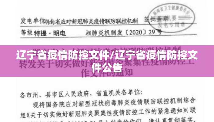 辽宁省疫情防控文件/辽宁省疫情防控文件公告