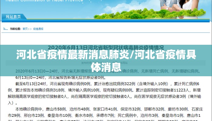 河北省疫情最新消息肺炎/河北省疫情具体消息