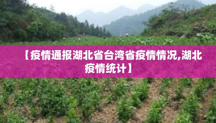 【疫情通报湖北省台湾省疫情情况,湖北疫情统计】