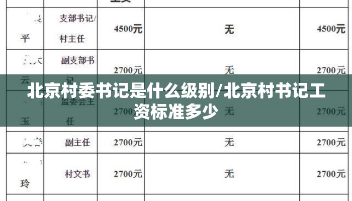 北京村委书记是什么级别/北京村书记工资标准多少