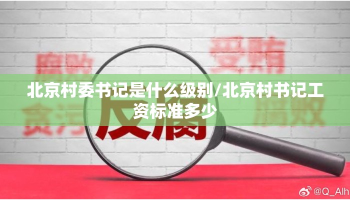 北京村委书记是什么级别/北京村书记工资标准多少