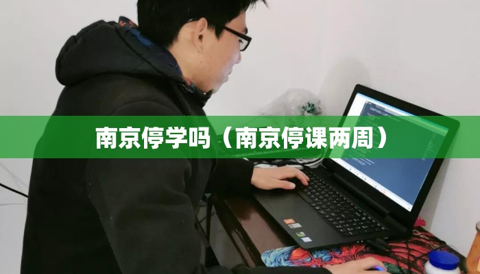南京停学吗（南京停课两周）