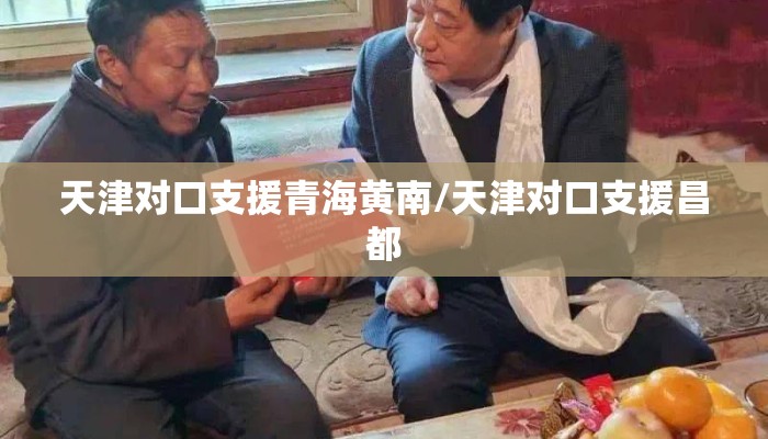 天津对口支援青海黄南/天津对口支援昌都