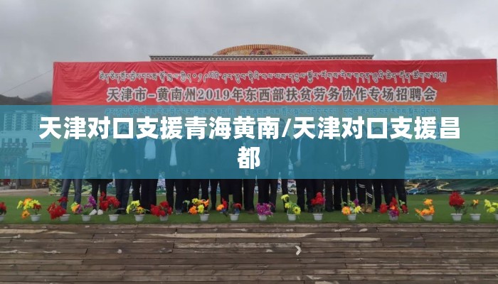 天津对口支援青海黄南/天津对口支援昌都