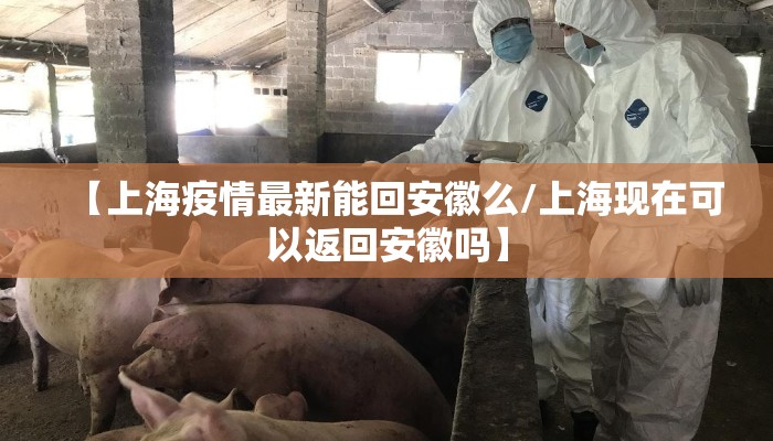 【上海疫情最新能回安徽么/上海现在可以返回安徽吗】