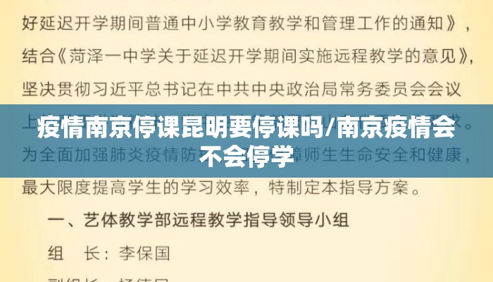 疫情南京停课昆明要停课吗/南京疫情会不会停学