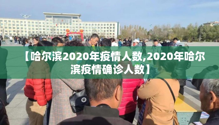 【哈尔滨2020年疫情人数,2020年哈尔滨疫情确诊人数】