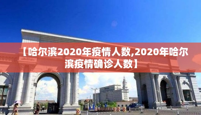 【哈尔滨2020年疫情人数,2020年哈尔滨疫情确诊人数】