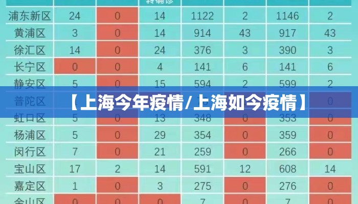 【上海今年疫情/上海如今疫情】