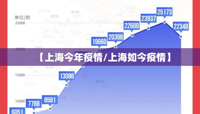 【上海今年疫情/上海如今疫情】