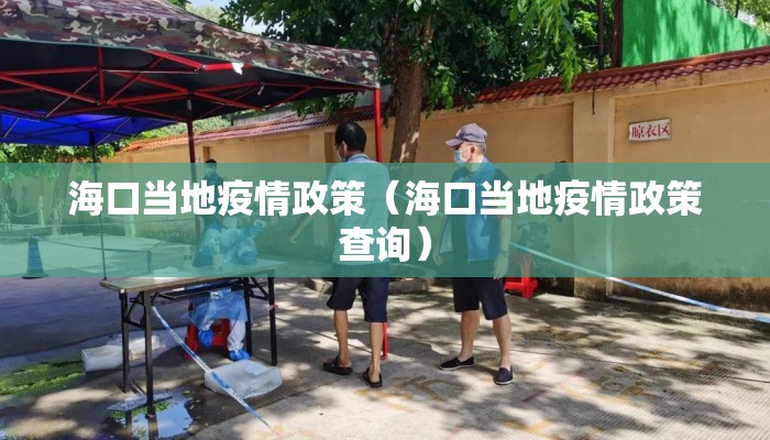海口当地疫情政策（海口当地疫情政策查询）
