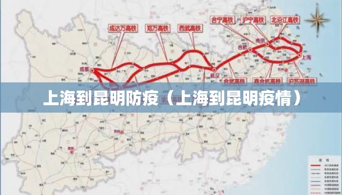 上海到昆明防疫（上海到昆明疫情）