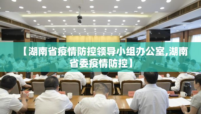 【湖南省疫情防控领导小组办公室,湖南省委疫情防控】