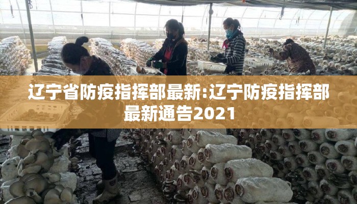 辽宁省防疫指挥部最新:辽宁防疫指挥部最新通告2021